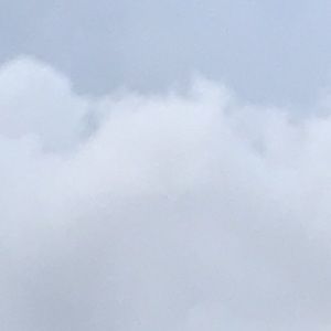 Meet your Posher, Naaeira